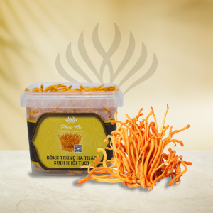 Đông Trùng Hạ Thảo Tươi - Hộp Nguyên Sinh Khối
